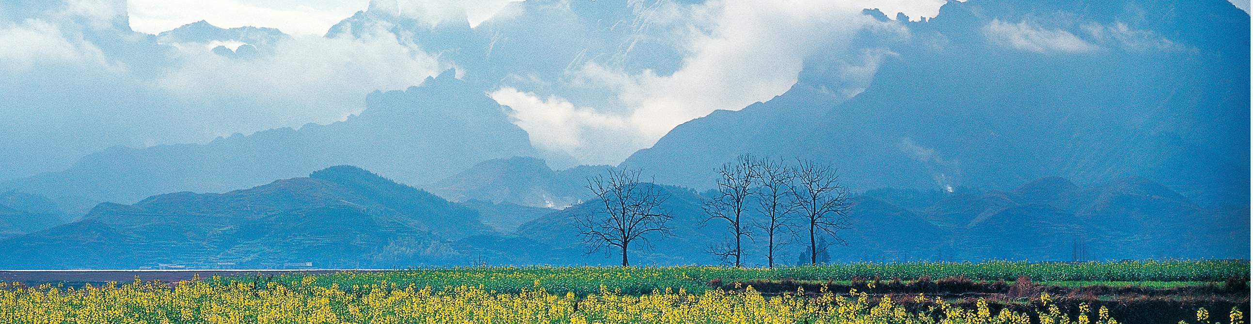 武陵源区から大峡谷ガラス橋までの貸切往復送迎